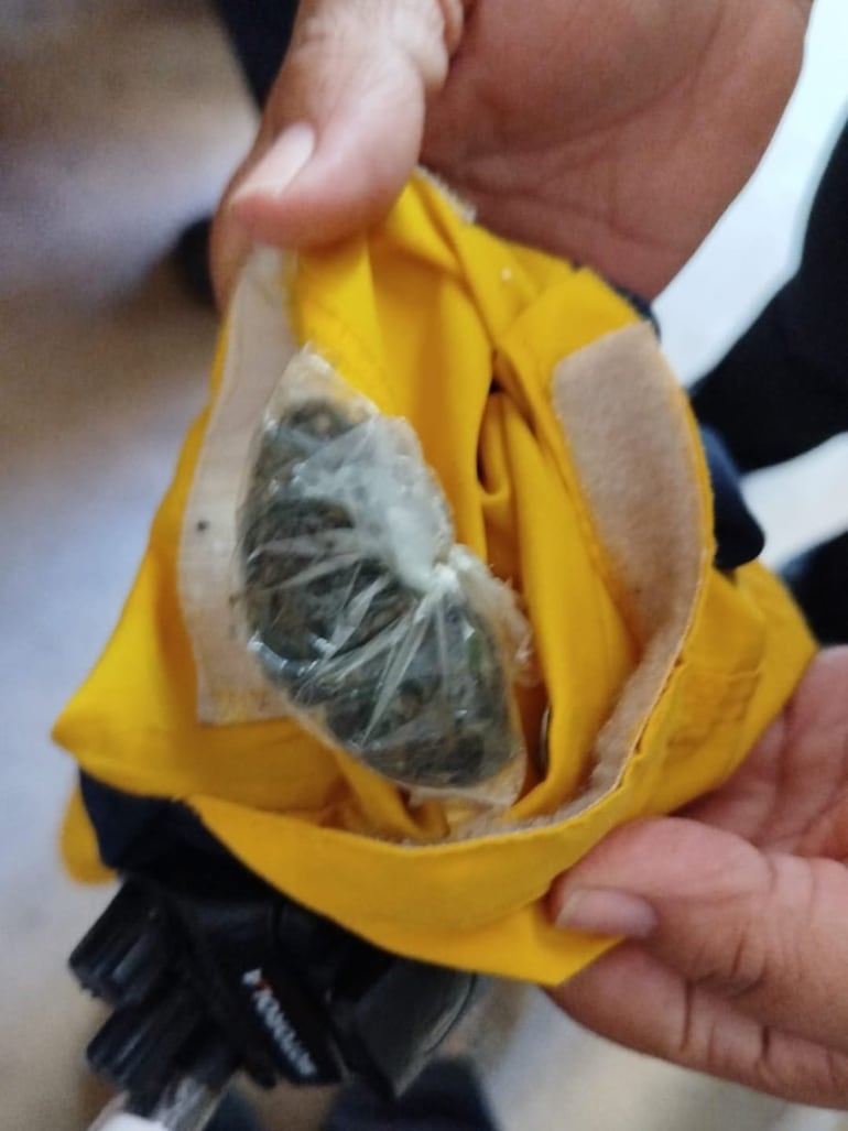 La marihuana encontrada en poder del padre de familia.