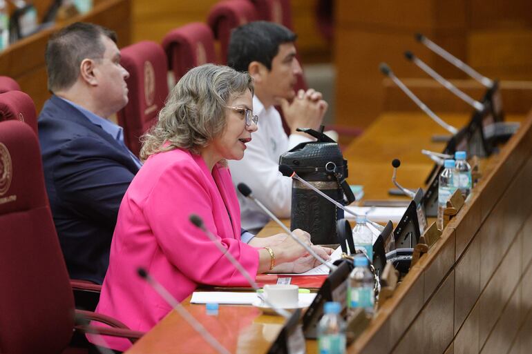 La congresista Lilian Samaniego (i), habla durante una sesión en la Comisión Pemanente, en Asunción (Paraguay).