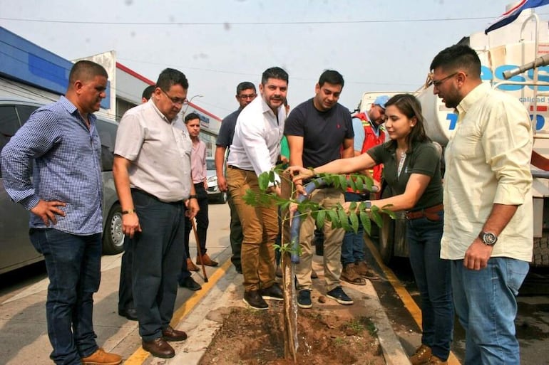 El intendente Óscar Rodríguez posando con unos arbolitos plantados en la avenida Eusebio Ayala. Irónicamente, autorizó tala de 77 árboles en barrio San Vicente.