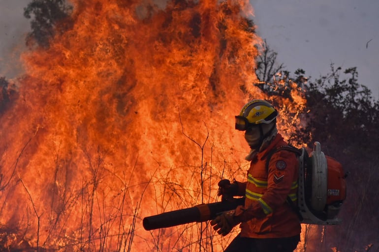 Un brigadista del Instituto Brasilia Ambiental (IBRAM) trabaja en la extinción de un incendio forestal en el Parque Ecológico Burle Marx, este martes en Brasilia (Brasil). Un juez de la Corte Suprema de Brasil ordenó al semana pasada al Gobierno de Luiz Inácio Lula da Silva destinar, en un plazo de 15 días, el "mayor contingente" de militares y policías para combatir la ola de incendios en el Pantanal y la Amazonía.