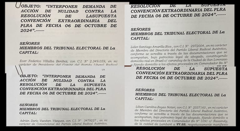 Senadores, diputados y miembros del Directorio del PLRA que recurrieron al TSJE contra el recorte de mandato interno.