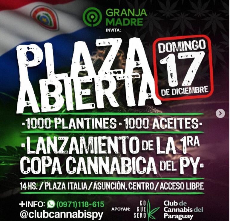 Granja Madre invita a una nueva edición de "plaza abierta".