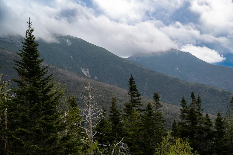 Vista de la Cordillera Presidencial de las Montañas Apalaches desde las laderas del Monte Washington en el Bosque Nacional de Montaña Blanca, en New Hampshire, Estados Unidos.