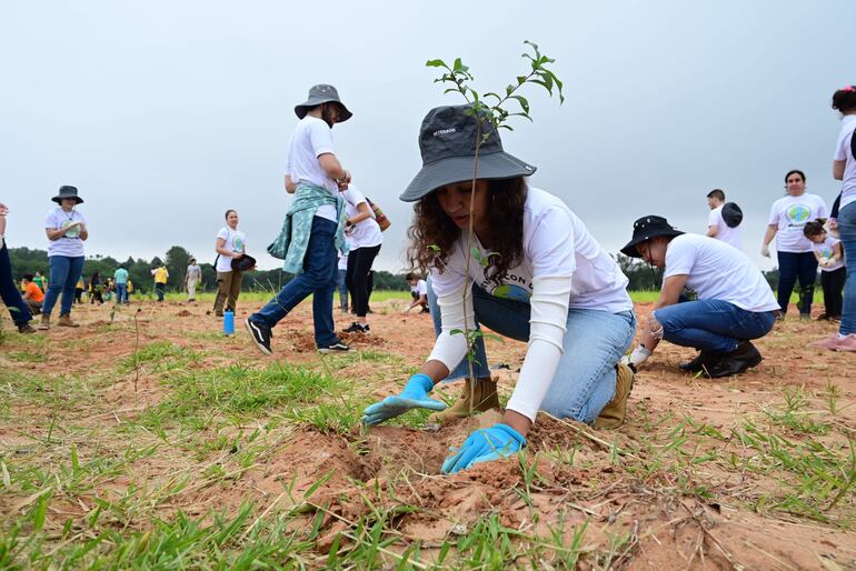 Grupo de voluntarios en una zona de la Costanera Sur, participando del Plantatón, en su octava edición.