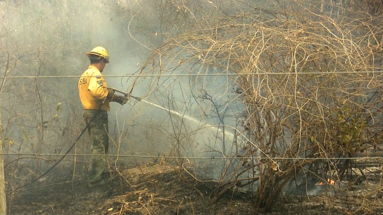 Personal de la SEN, junto con militares y bomberos, combaten el fuego en la zona del alto Chaco.