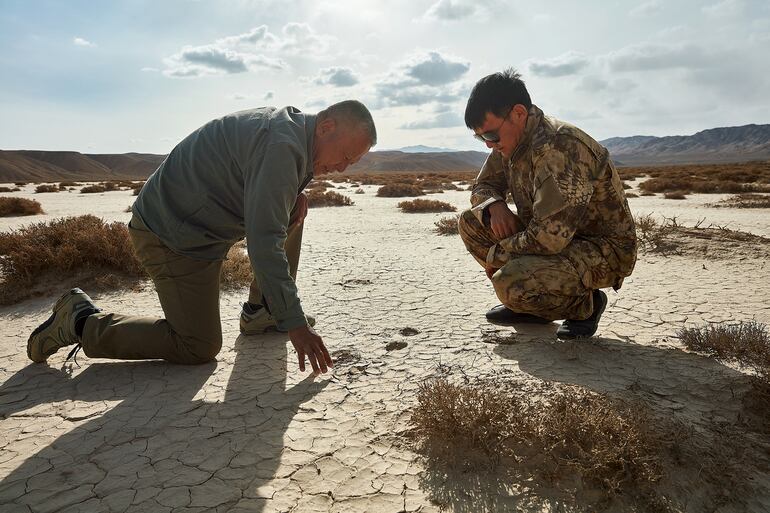 Liu Shaochuang utiliza técnicas de teledetección, cámaras trampa y huellas de pezuñas para eguimiento a los camellos salvajes. © Rolex/Liu Xiaoxue.