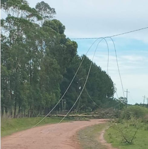 Ruta bloqueada por caída de árboles y cables del tendido eléctrico en Laureles, Ñeembucú.