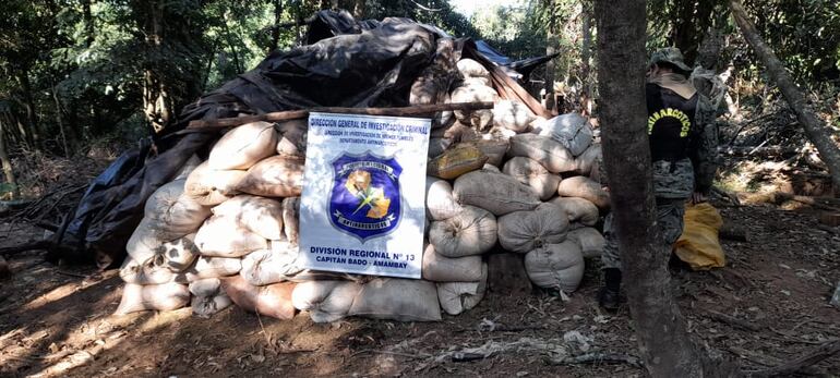 Bolsas arpilleras repletas de marihuana picada