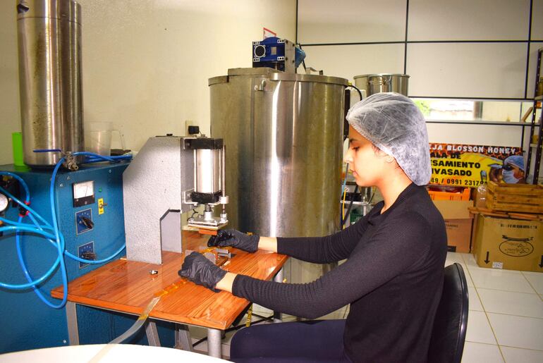 Los apicultores preparan 1.000 kilos de miel de abeja para la Expo Frutas que se realizará el 16 y 17 de diciembre en La Colmena.