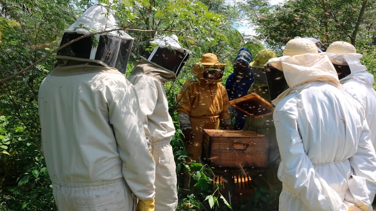 La zona del pantanal se caracteriza por la existencia de variada floracion y abundante agua.