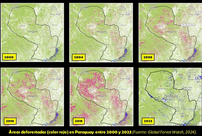 Gráfico presentado por el doctor Viglizzo, donde se destaca una baja en la deforestación en Paraguay al año 2023.