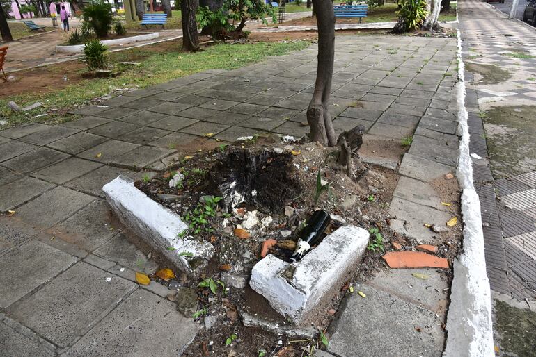 Canteros rotos, con troncos viejos y hasta una botella abandonada. 