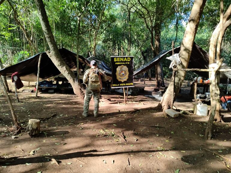 Campamentos narcos detectados en zona de Bella Vista Norte, departamento de Amambay.