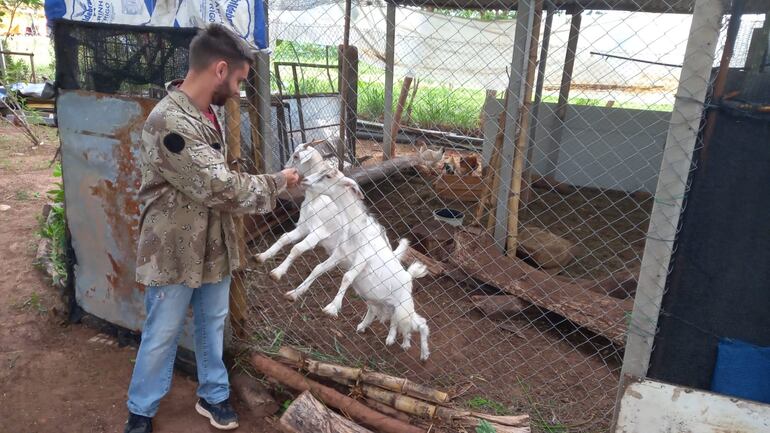 Desde cabras hasta kurijus se encuentran en el refugio de animales de la Costanera.