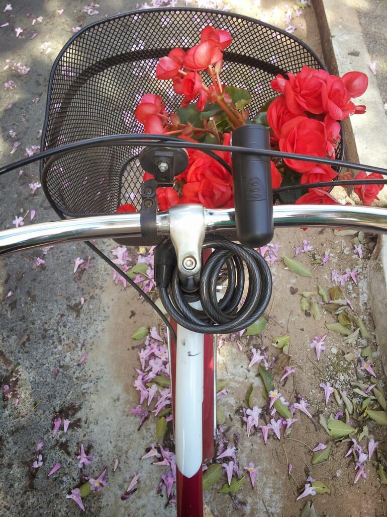 El canasto de una bicicleta cargado con flores, luego de un paseo de compras por Isla de Francia, en Asunción.