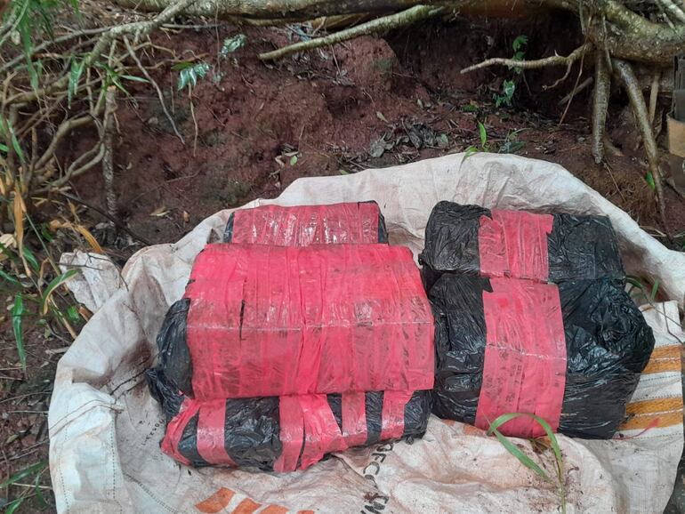 Cargamento de marihuana encontrada a orillas del lago de Itaipú.