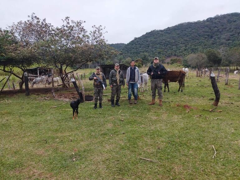 Brigada Antiabigeato de Paraguarí, recuperan ocho desmamantes propiedad de Blanca Zaracho.