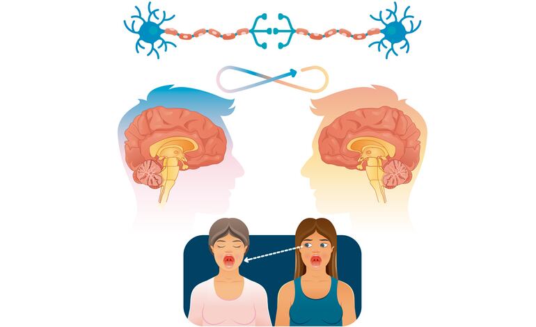 Neuronas espejo y aprendizaje en contextos sociales.