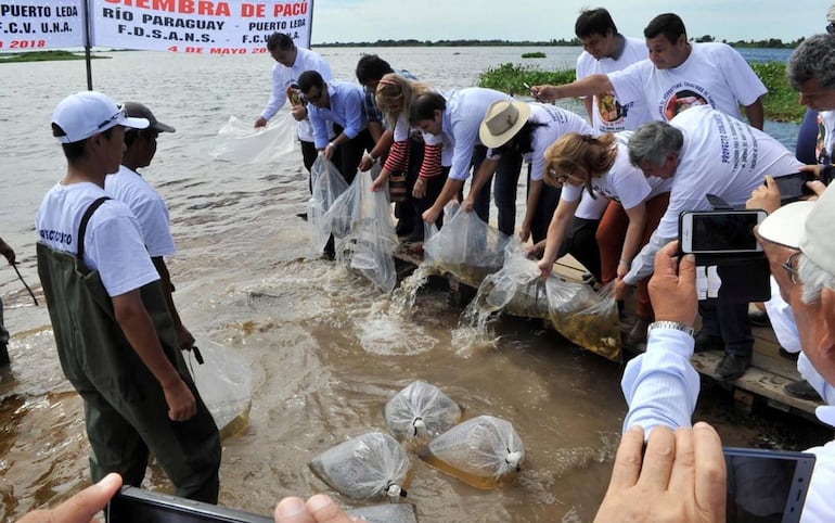 Los voluntarios japoneses están asentados en la localidad de Puerto Leda, en Alto Paraguay. Foto ilustrativa.