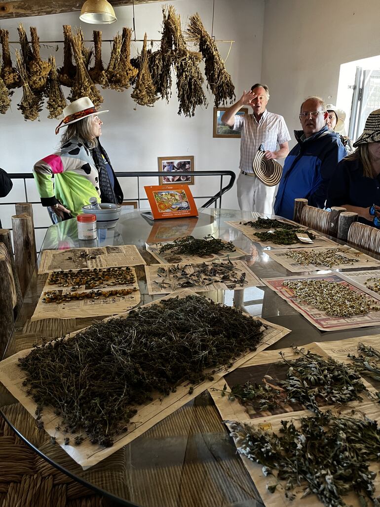 Hierbas medicinales y aromáticas utilizadas en los laboratorios de la finca para la preparación de nutrientes y productos para el combate natural de plagas.