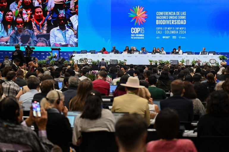 Conferencia de la ONU sobre protección de la naturaleza, que se realiza en Cali, Colombia.