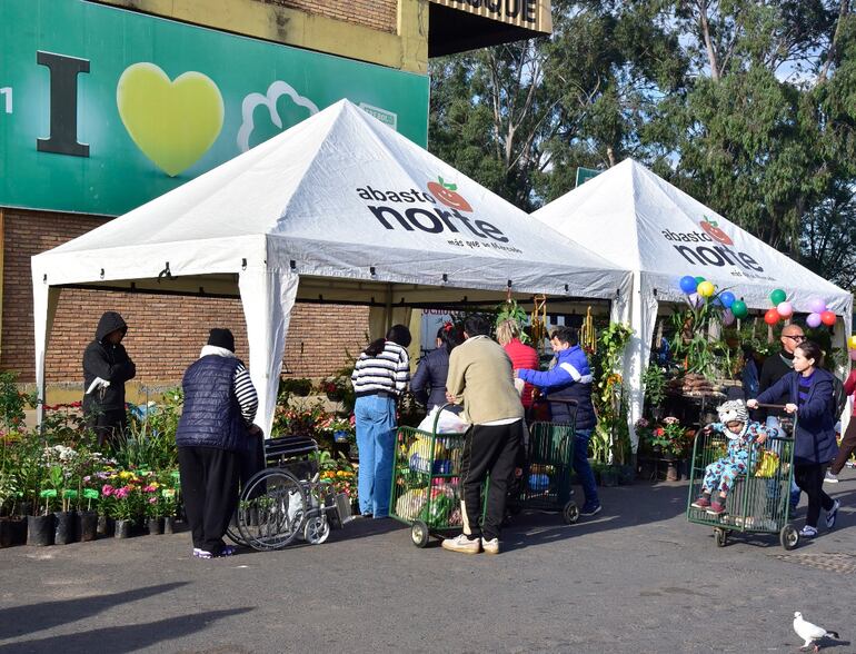 Se realizó ayer en el Abasto Norte una expoferia de plantas medicinales, frutales, florales y ornamentales, con precios de hasta 3 x G. 10.000.