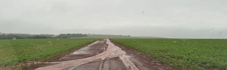 Un camino vecinal entre parcelas de soja de la siembra 2023/ 2024, durante las últimas lluvias de este noviembre.