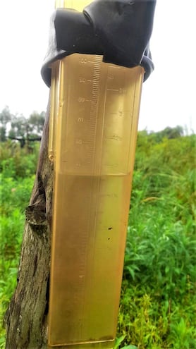 Beneficiosa lluvia para los cultivos agrícolas de Paraguarí.