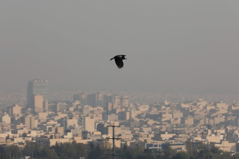Un pájaro sobrevuela Teherán, cubiera de bruma, el pasado martes.
