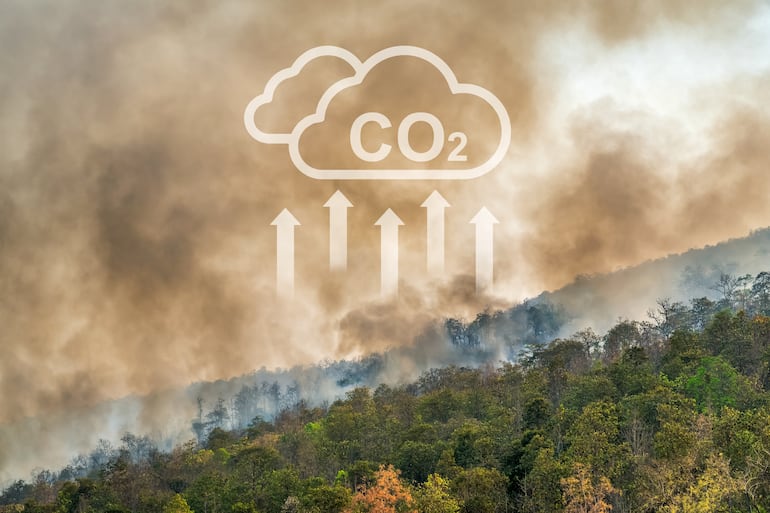 Incendios forestales y emisiones de CO₂