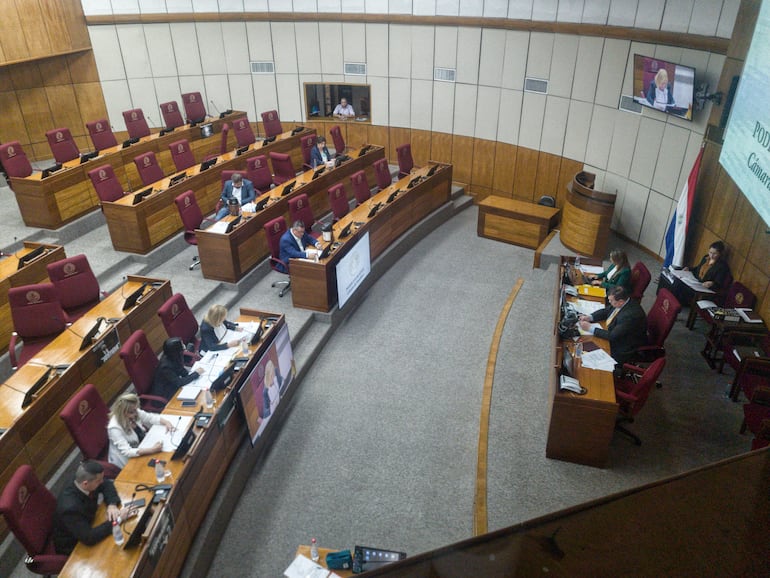 Solo los senadores Colym Soroka, Gustavo Leite y Dionisio Amarilla oyeron la exposición de la titular del JEM, Alicia Puchetta.