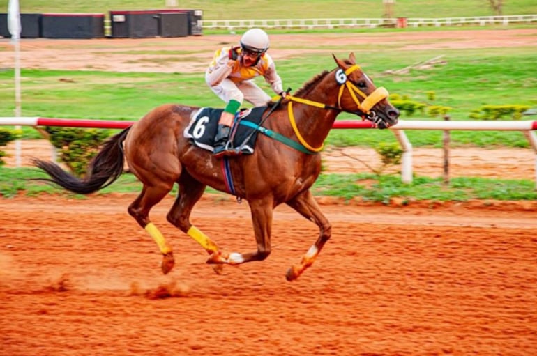 Arielo, del stud Pamina, se alzó con el premio dominguero "Doble 10 - Fiesta Nacional de China Taiwán", con la fusta de José Romero.