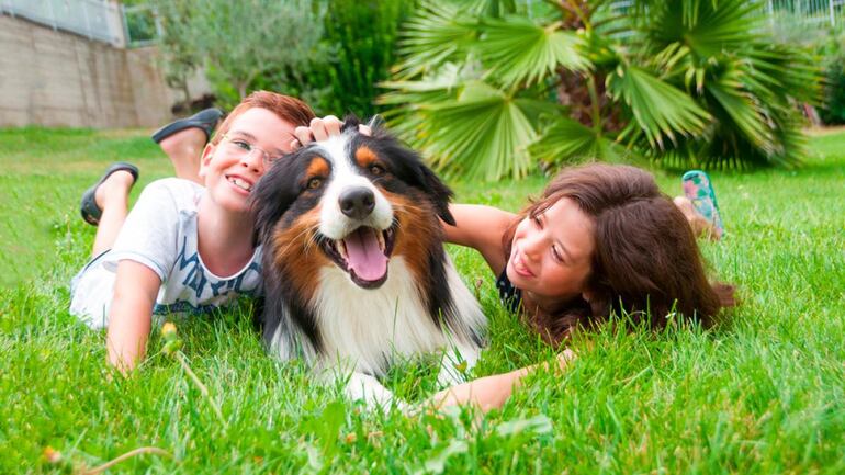 Niños jugando con su perro