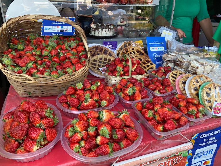 Variedad de frutillas.