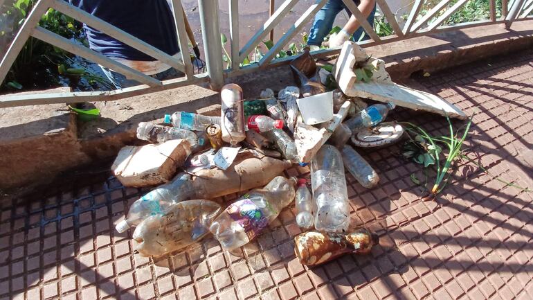 Basura retirada de la zona de descarga del lago de la República 