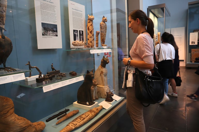 Un estudio ampliado sugirió que el origen más probable de la domesticación del gato fue el Mediterráneo.