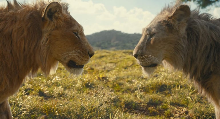 Mufasa (i) , con la voz de Aaron Pierre, y Taka, con la voz de Kelvin Harrison Jr., durante una escena de la película animada 'Mufasa: The Lion King'. 