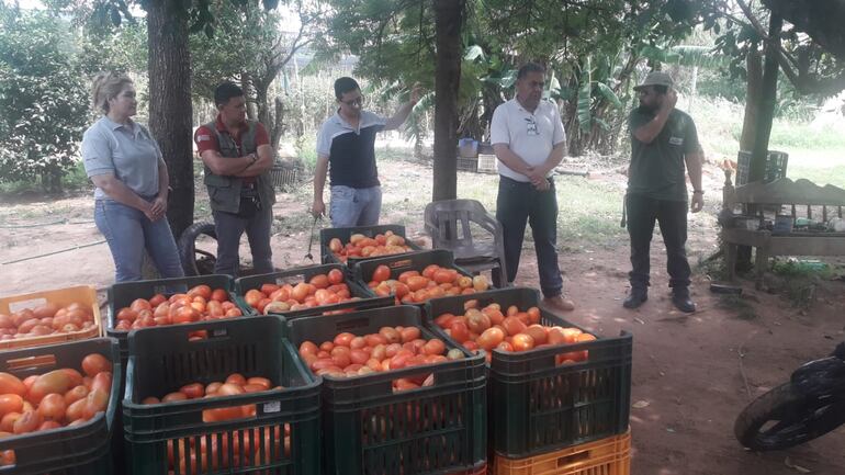 Tomate nacional, certificado por el Senave