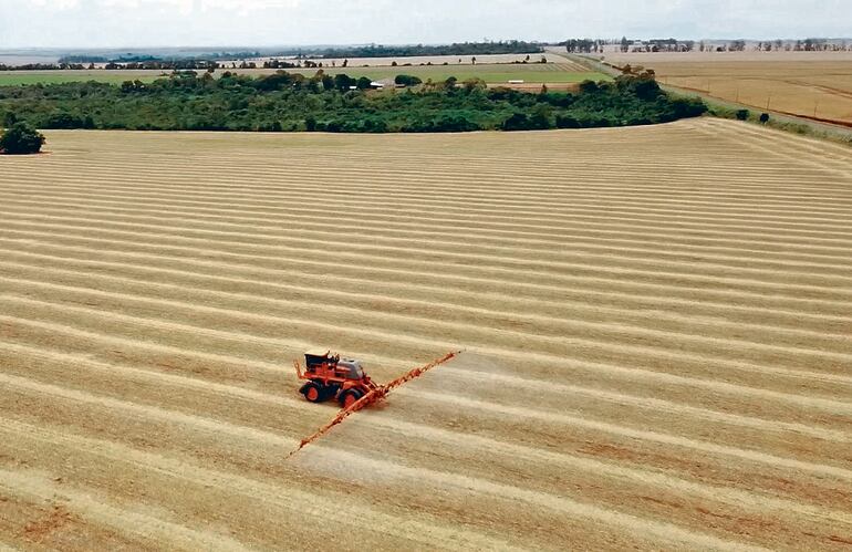 El control de malezas preventivo es mejor que cuando el cultivo de soja está establecido.