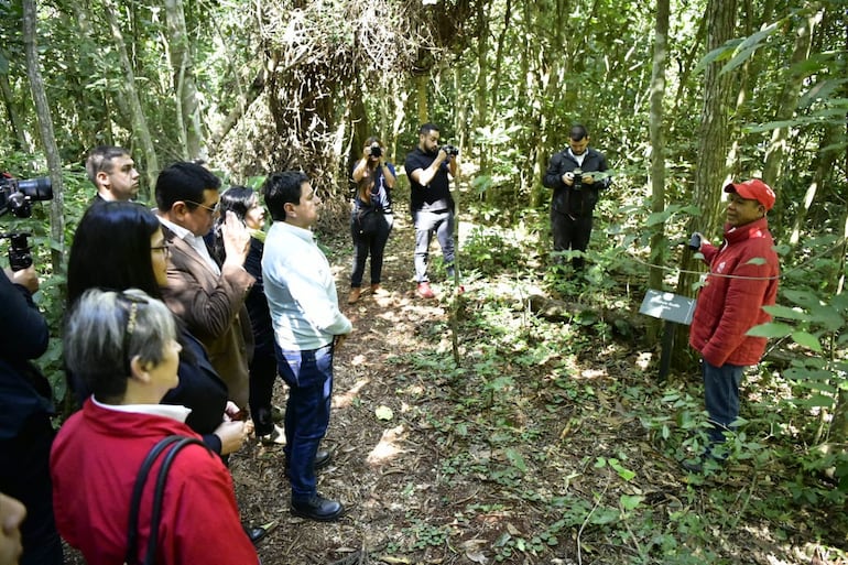 El sendero Los Hongos permite realizar recorridos interpretativos con acompañamiento de técnicos en el área de influencia de Itaipú