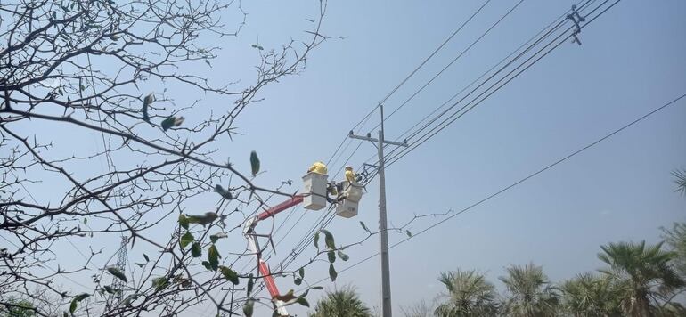 Personal de la ANDE, con los equipos adecuados, son los únicos autorizados a trabajar por los tendidos eléctricos.