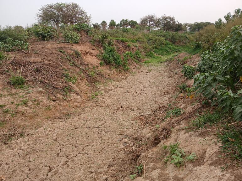 El riacho Mbyrusu, uno de los que alimentan al río Paraguay, está totalmente seco en la zona del Pantanal paraguayo.