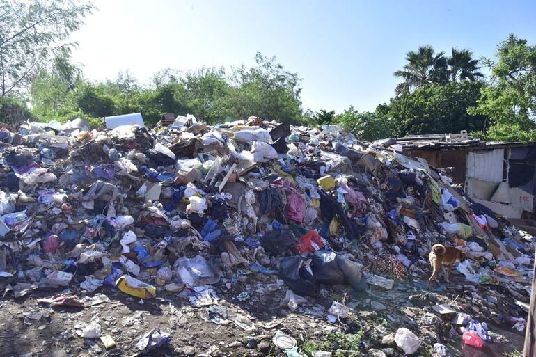 La zona es lugar de descarga de animales muertos y todo tipo de desperdicios de otros barrios de la Capital.