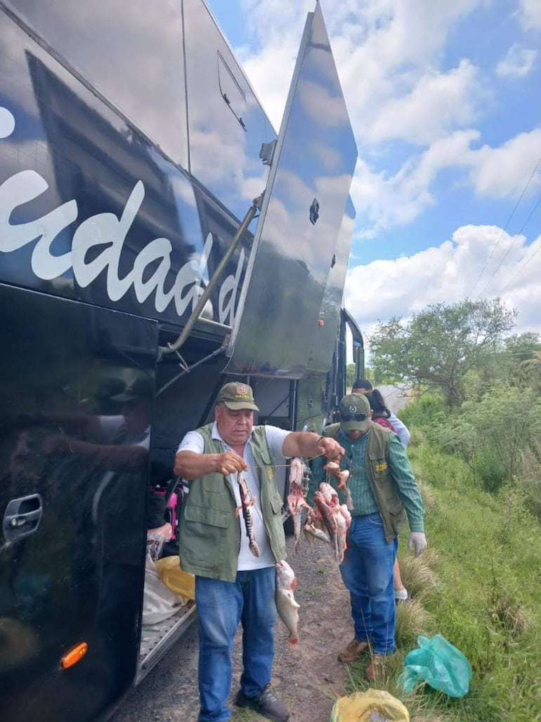 Funcionarios del Mades, decomisan pescados sin medidas enviados por encomienda en buses de larga distancia.