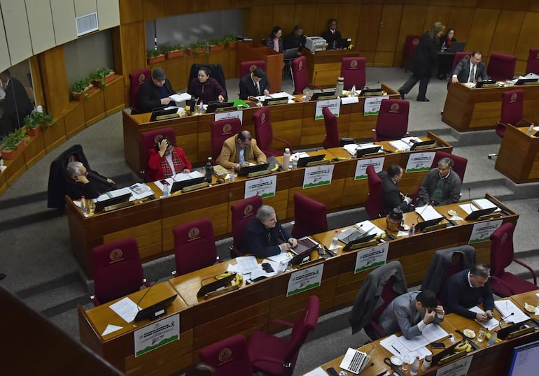 Sesión de la Cámara de Senadores con vista al bloque opositor y "satélite". 