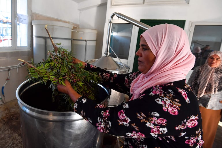 Una mujer extrae aceites de plantas en el laboratorio "Al Baraka" ("Bendición") en la aldea de Tbainia, cerca de la ciudad de Ain Drahem, en el noroeste de Túnez.