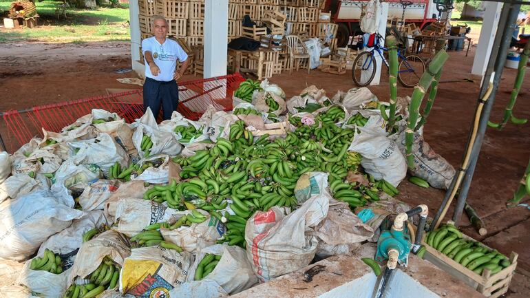 El productor Ceferino Mereles mostró las bananas perdidas a causa de la crisis con Argentina.