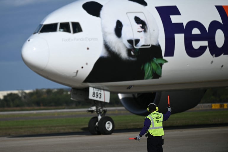 El avión que trasladó a la pareja de panda desde China llega a Estados Unidos.