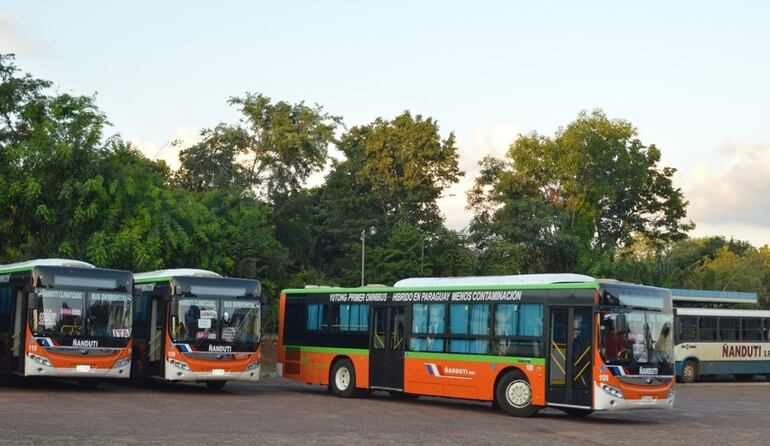 La empresa Ñanduti S.R.L. asumió el itinerario de la línea 27 desde el 12 de agosto pasado.