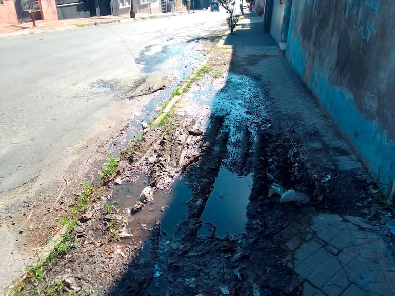 Sobre Montevideo, entre Humaitá y Piribebuy, la vereda es intransitable y la calle, tiene baches.